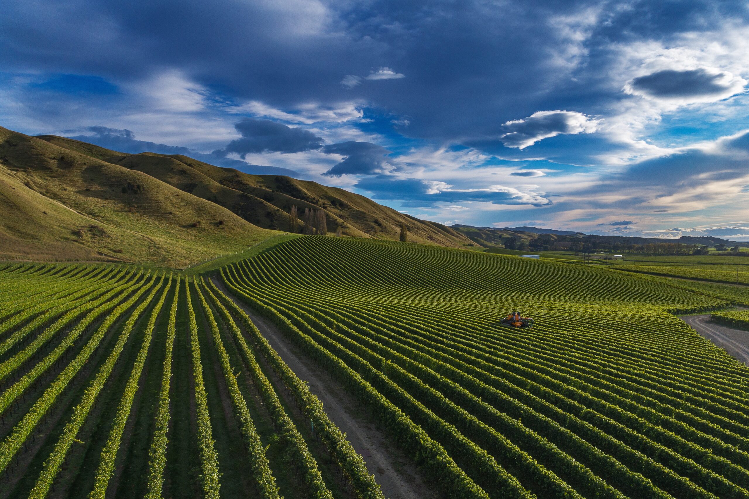 Image for news article 1