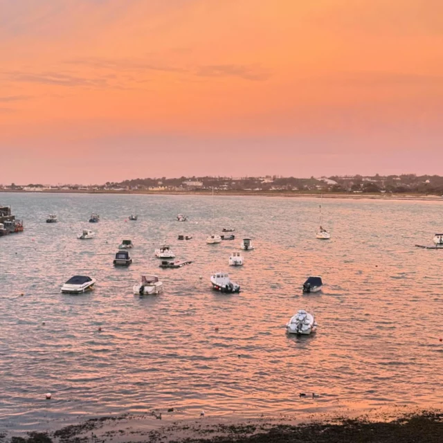 Here’s what waking up at The Moorings looks like! Good morning!⭐️
.
.
.
.
.
#roomwithaview #seaview #sunrise #goodmorning